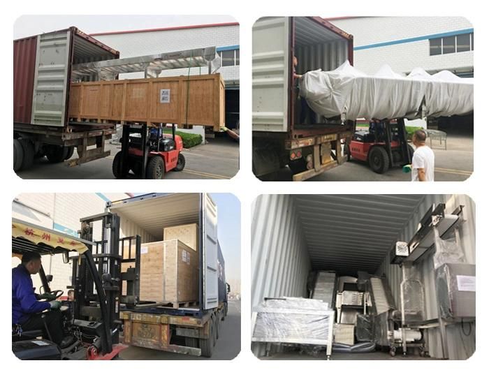 Raniche Scalder Food Qingdao Pig Processing Plant Equipment