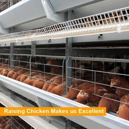 H Frame Automatic Galvanized Laying Hen/Layer/Egg Chicken Battery Cages