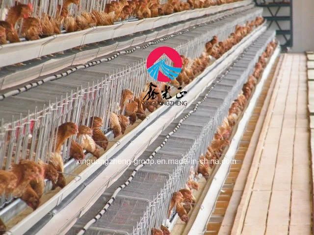 4 Layers Cascading Laying Hens Caged Equipment