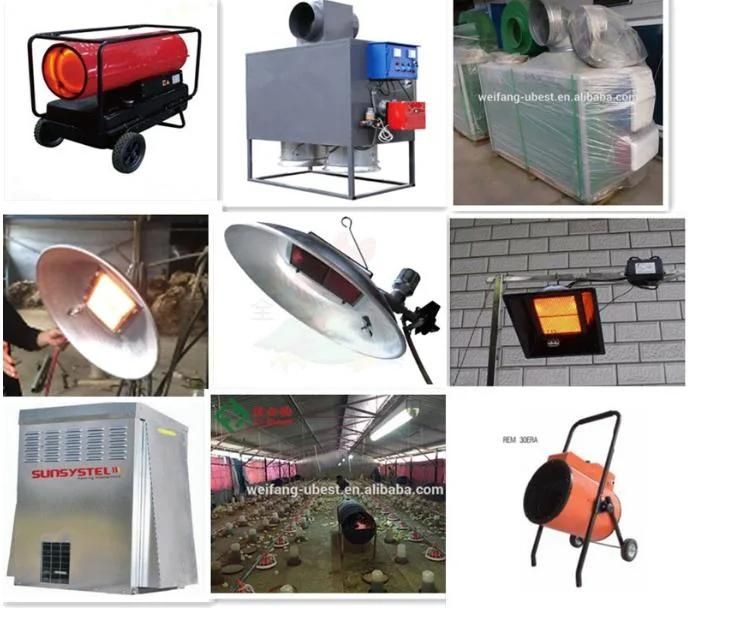 Automatic Animal Raising Poultry Farming Feeding Line Chicken Shed/House Equipment for Broiler/Breed/Chicken Bird