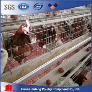 Automatic Poultry Farm Equipment Layer Chicken Cage for Sale