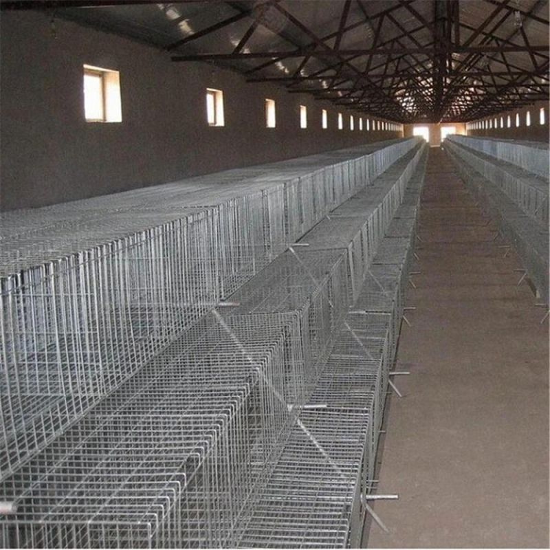 Poultry Layer House Bird Chicken Cage
