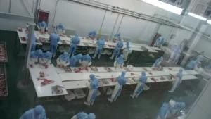 Butchery Equipment Butcher Hook Stainless Steel Meat Sheep Hooks for Slaughterhouse