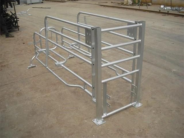 Wholesale Animal Livestock Cages Sow Stall Used Pig Farrowing Crates for Sale