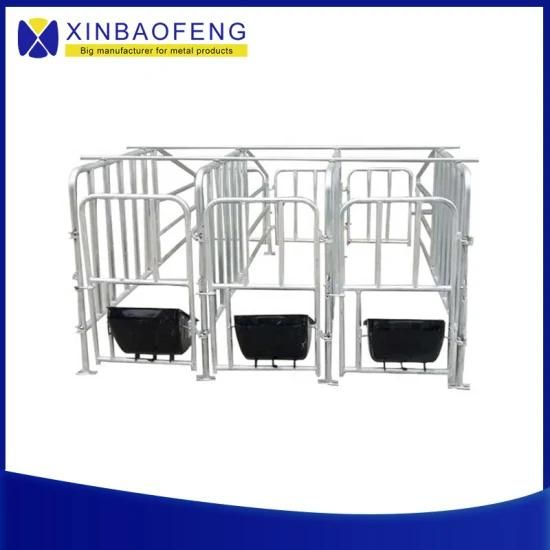 Factory Direct Sale High Quality Hot DIP Galvanized Pig Sow Farrowing Crate