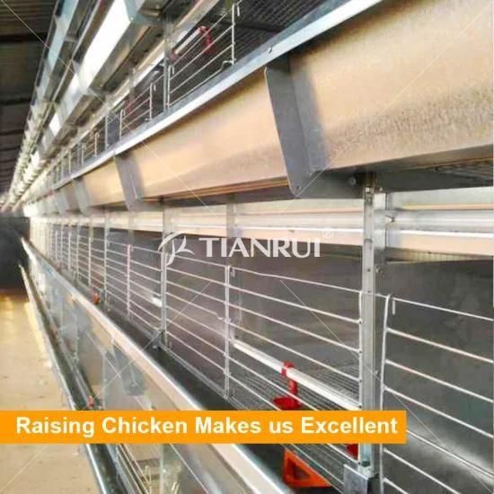 Factory H type automatic broiler poultry farm equipment for sale