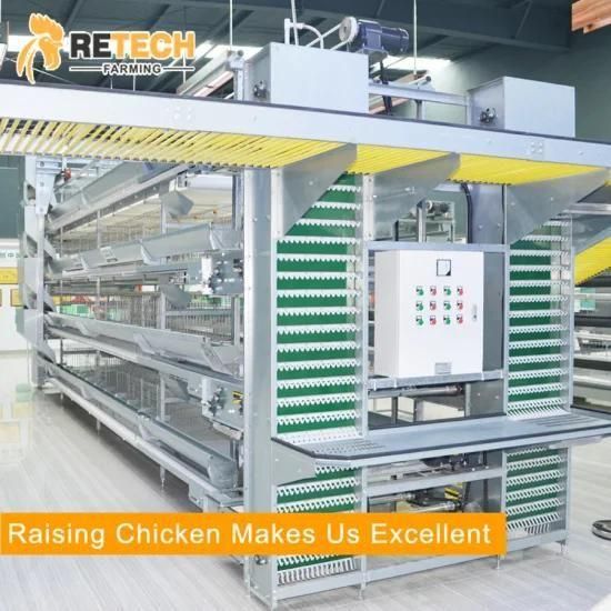 Design Automatic Battery Cages for Laying Hens