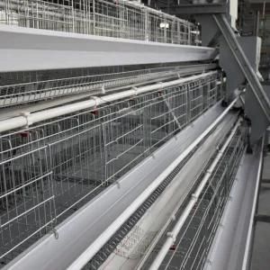 Poultry Farms Chicken Use and Chicken Feeding Layer Chicken Cage
