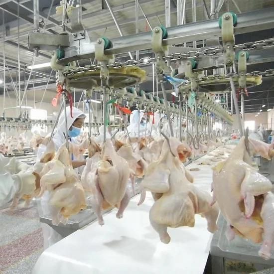 500-1000bph Poultry Slaughtering Equipment Small Chicken Abattoir
