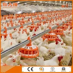 Automatic Broiler Breeder Farm Poultry Equipment with House Construction