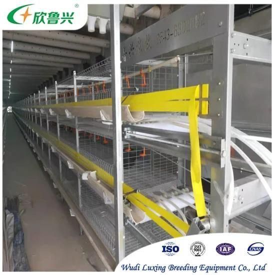 Automatic 3 Tiers 4 Tiers H Type Layer Broiler Poultry Chicken Cage for Battery Farming