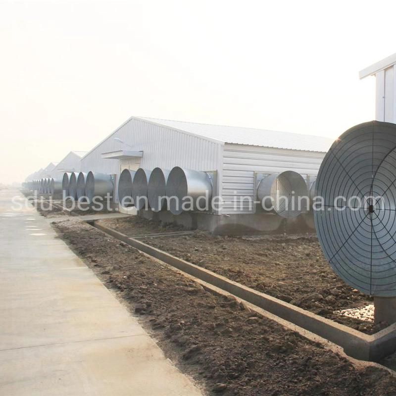 Automatic Prefab Chicken Shed with Environmental Control Poultry Equipment