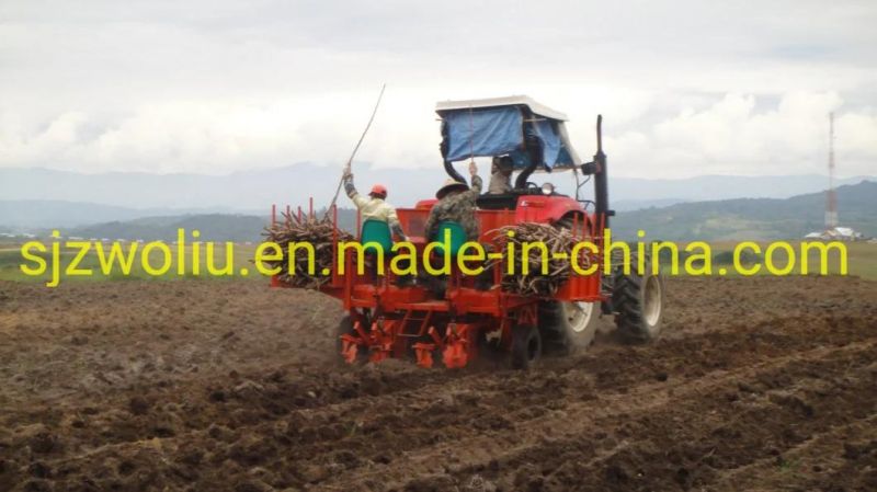 Hot Sale Tractor Mounted Cassava Ridging Planting Machine, 2 Lines Planting Machine, Farm Machine
