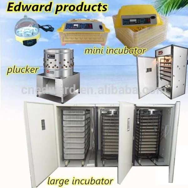 Hhd Mini Incubator for Chicken/Quail/Duck 12V 220V Dual Power Full Automatic 48 Eggs