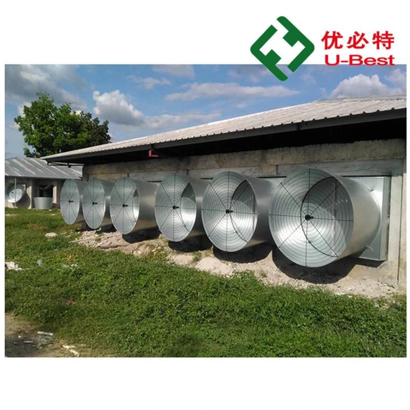 High Quality Modern Broiler Equipment Poultry Shed Design Chicken Farm