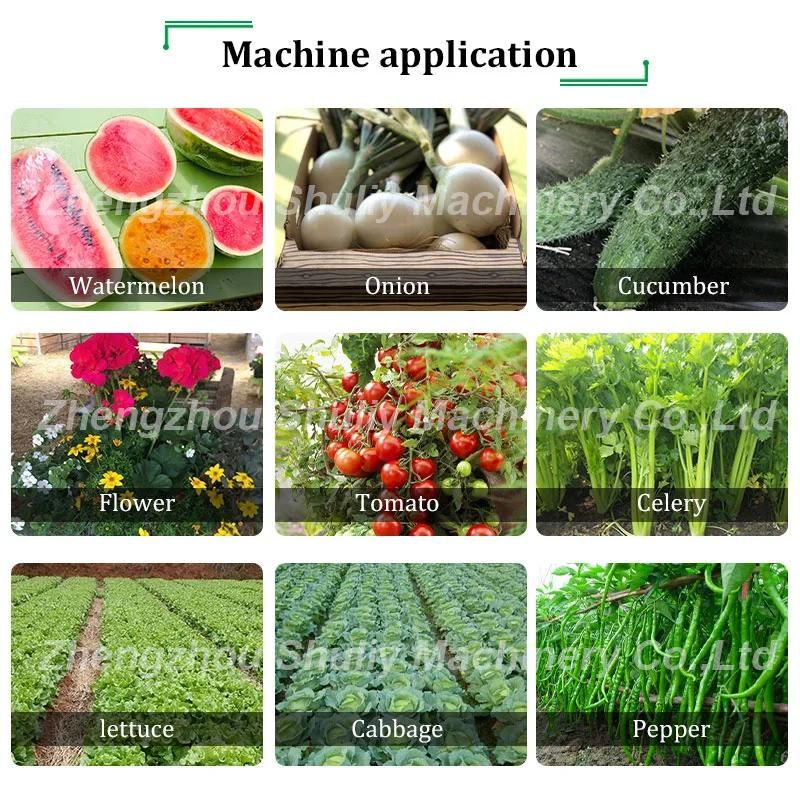 Automatic Green Onion Transplanter Lettuce Transplant Machines Vegetable Transplanter
