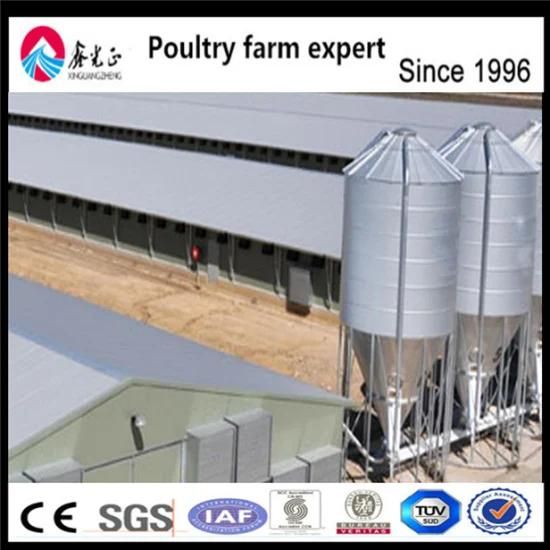 Prefabricated Steel Chicken Poultry Farm Agricultural Equipment