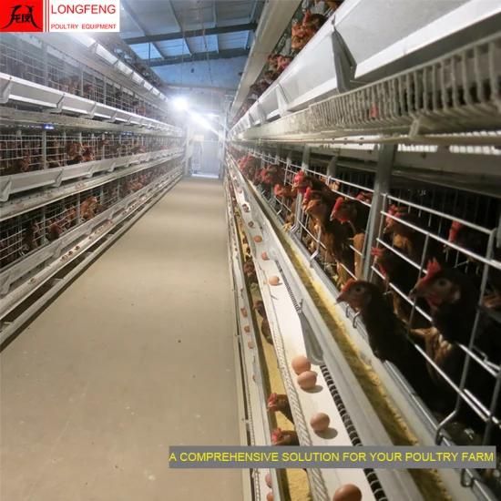 H Type of Automatic Layer Chicken Cage System for Poultry Farming Equipment