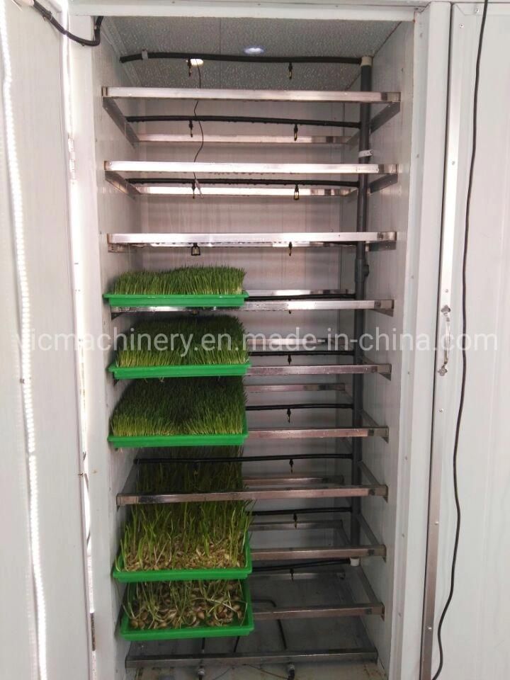 Sprout Growing Machine For Fodder Garlic