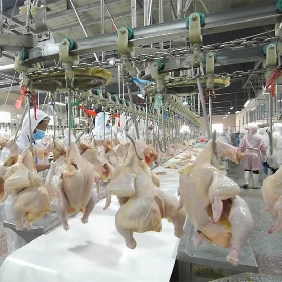 1000bph Halal Small Chicken Slaughterhouse Chicken Slaughtering Machine for Chicken ...