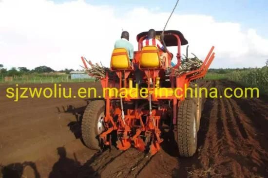 High Productivity 2 Rows Ridging Cassawa Planters, Manihot Planter for Sale, Agricultural ...