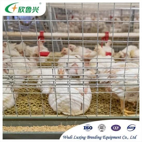 Manufactures Supply Automatic Poultry Breeding Cage Broiler Rasing Cage for Chicken Coops