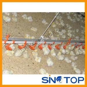Automatic Poultry Equipment for Chicken Farm