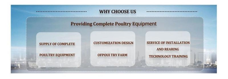 XGZ Group′s Nipple Drinker Poultry Farm Equipment