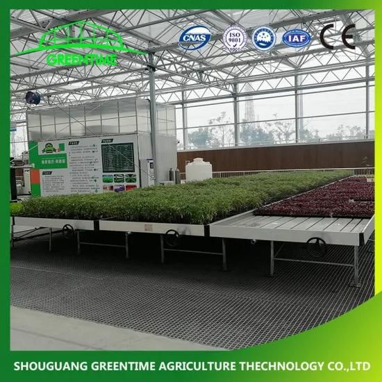 4X8&prime; Greenhouse Nursery Benches/Rolling Bench Table/Seedling Bed/Tray Seedbed