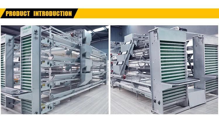 China manufactures direct sale automatic poultry cages for egg chicken