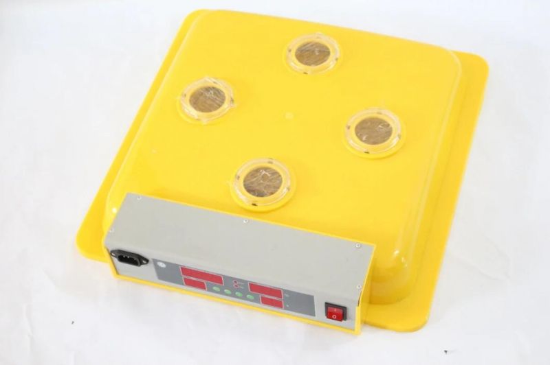 New Design Incubator Thermostat Mini 48 Eggs CE Marked Automatic Incubator