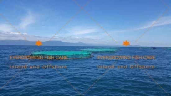 HDPE Tilapia Farming Grow out Fish Net Cage
