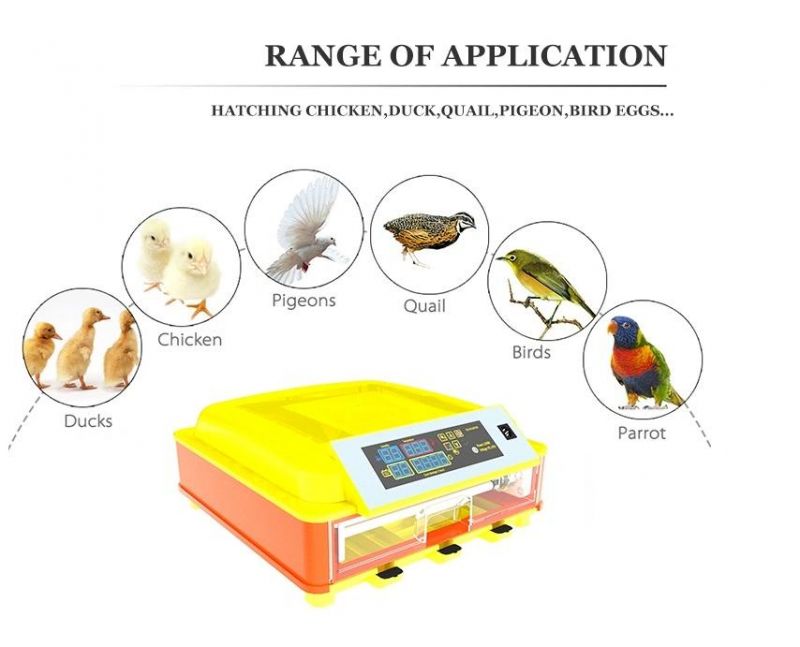 Popular Hhd R46 High Hatching Rate Automatic Chicken Egg Incubator Temperature Metre in Kenya