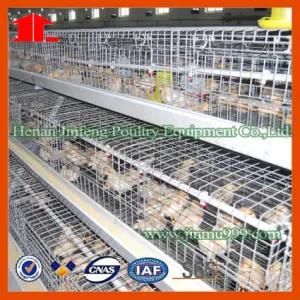 New Battery Poultry Equipment for Chicken Farm Layer