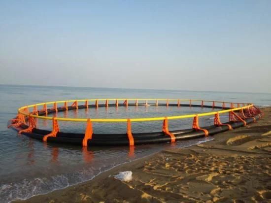 2021 Aquaculture Tilapia Fish Culture Floating Cage Fish Farming