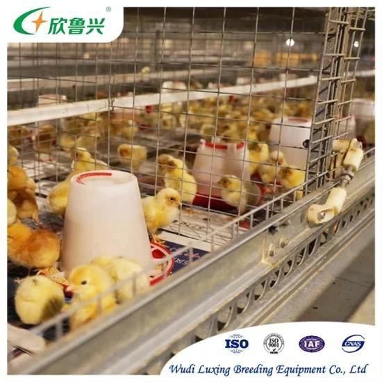 Good Quality Chicken Houses Poultry Automatic Farming Equipment Broiler Chicken Cages