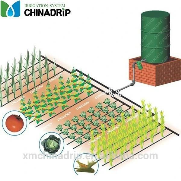 Venturi Fertilizer Injector 1/2, 3/4, 1, 1-1/2, 2 Inch Bsp NPT Thread