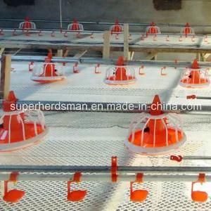 High Quality Automatic Poultry Feeding and Nipple Drinking System for Chicken