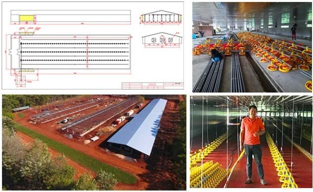China Factory Supply Modern Automatic Poultry House Equipment Farm Chicken for Sale