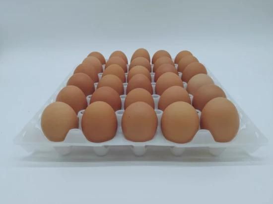 New 30 Holes Transportation Packaging Colored Plastic Egg Tray