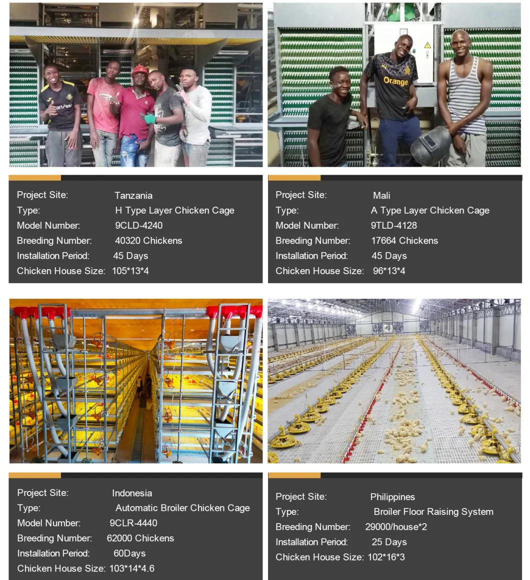 Durable Automatic Poultry Farm Layer Chicken Cages for 30000 birds