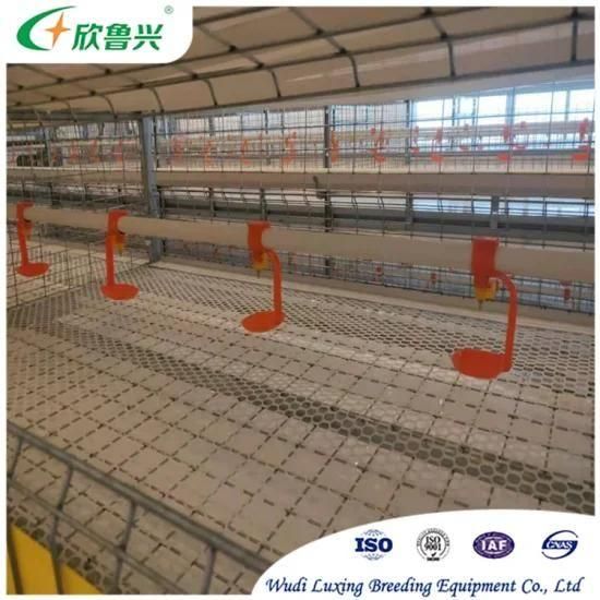 Factory Manufacture Automatic Hot Galvanized Poultry Farming Equipment Layers / Broilers ...