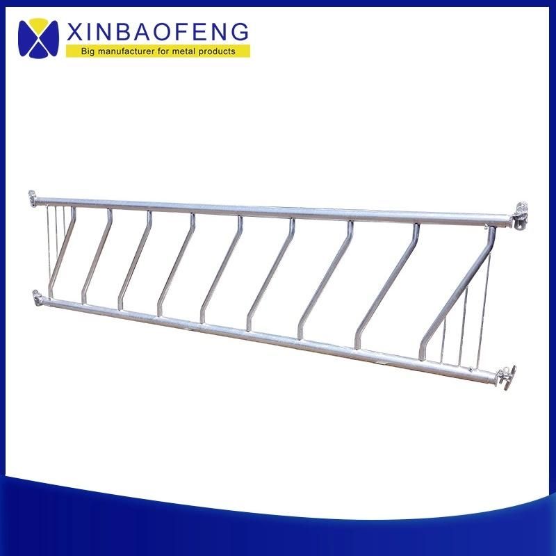 Hot DIP Galvanized Cow Free Stall for Cows