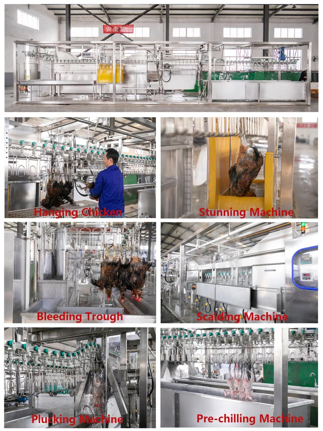 Small Capacity 300bph 200bph 500bph Full Automatic Compact Poultry Slaughtering Production Line for Broiler