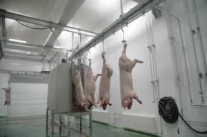 Small Pig Slaughter Equipamento De Abate De Porco Dehairer for Sale