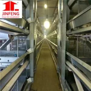Automatic Chicken Farms Equipments Poultry Layer Chicken Cage