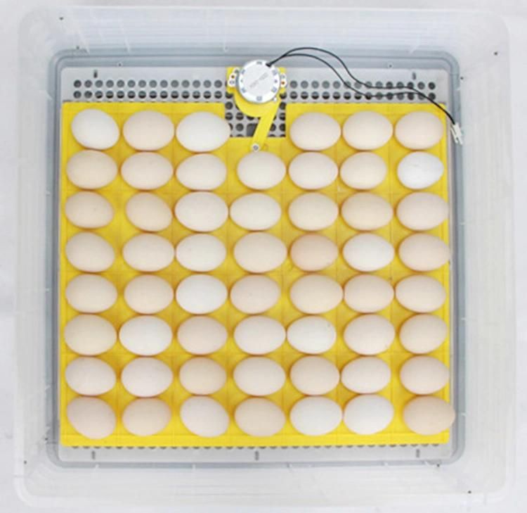 Wholesale Price Small Animal Incubator Mini 96 Eggs Incubator Machine