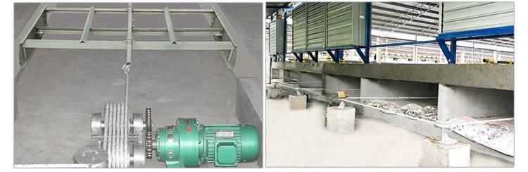 Poultry farm chicken floor ground raising equipment with 20000 chickens