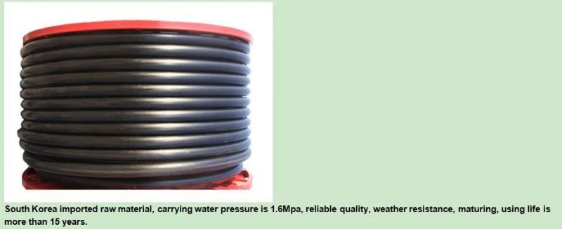 High Efficiency of Winch Type Hose Reel Spray Sprinkling Machinery, Irrigating Machine for Corn Wheat, Vegetable, Farm Machinery