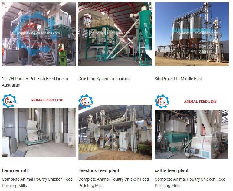 Full Automatic Animal Poultry Cattle Feed Pellet Producer